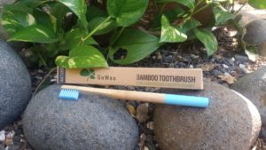 Bamboo Toothbrush GoWoo